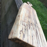Large Spalted Birch Board
